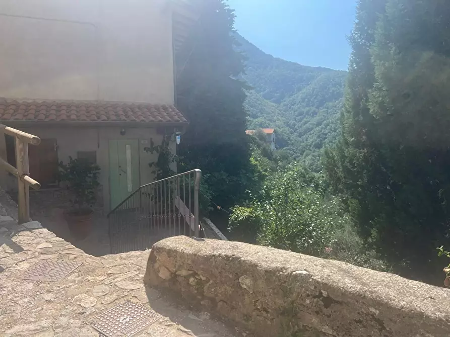 Immagine 31 di Casa semindipendente in vendita  a Camaiore
