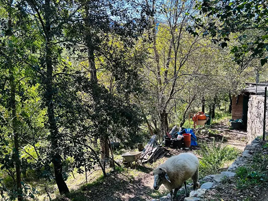 Immagine 48 di Casa indipendente in vendita  a Aulla