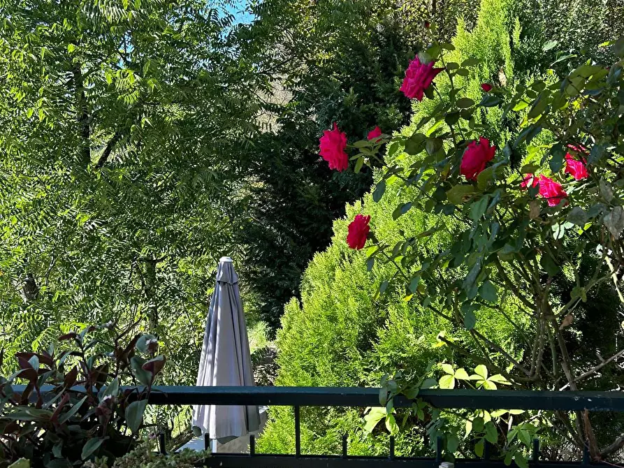 Immagine 24 di Casa indipendente in vendita  a Aulla