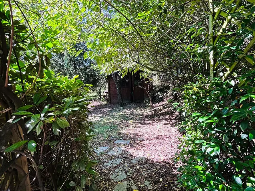 Immagine 45 di Casa indipendente in vendita  a Aulla