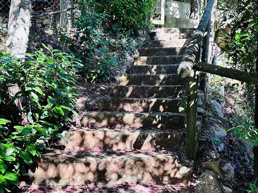 Immagine 41 di Casa indipendente in vendita  a Aulla