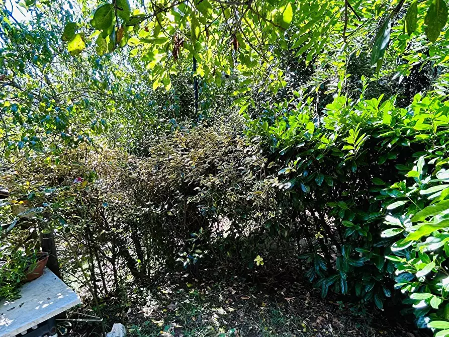 Immagine 46 di Casa indipendente in vendita  a Aulla