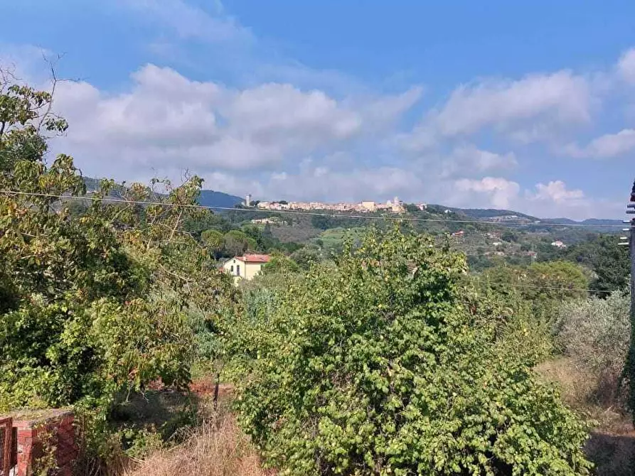 Immagine 7 di Terratetto in vendita  a Castelnuovo Magra