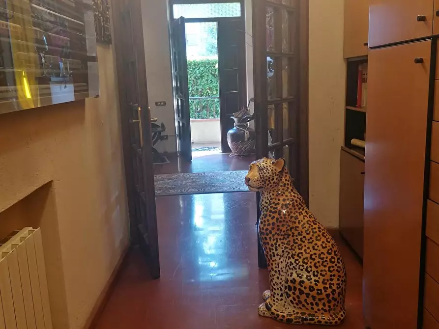 Immagine 7 di Casa indipendente in vendita  a Carrara