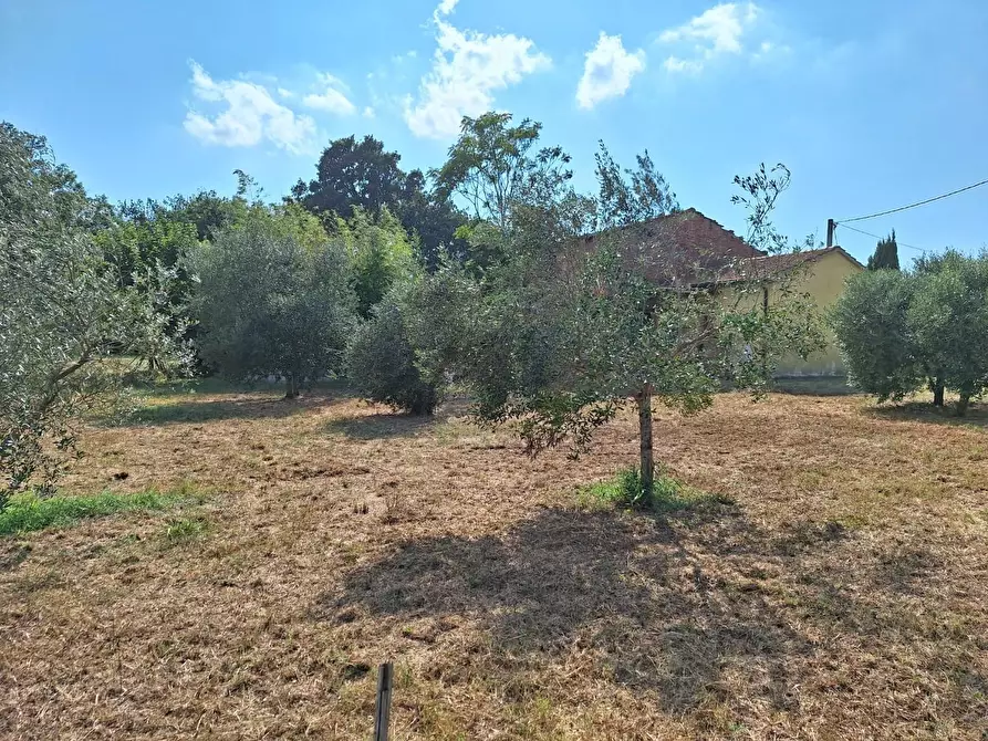 Immagine 12 di Deposito in vendita  a Castelfranco Di Sotto