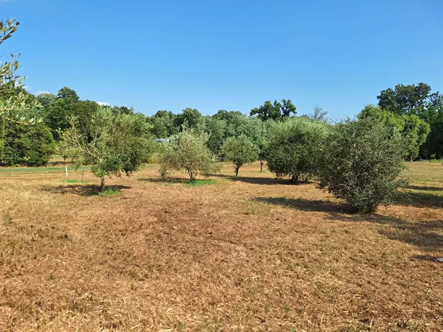 Immagine 8 di Deposito in vendita  a Castelfranco Di Sotto