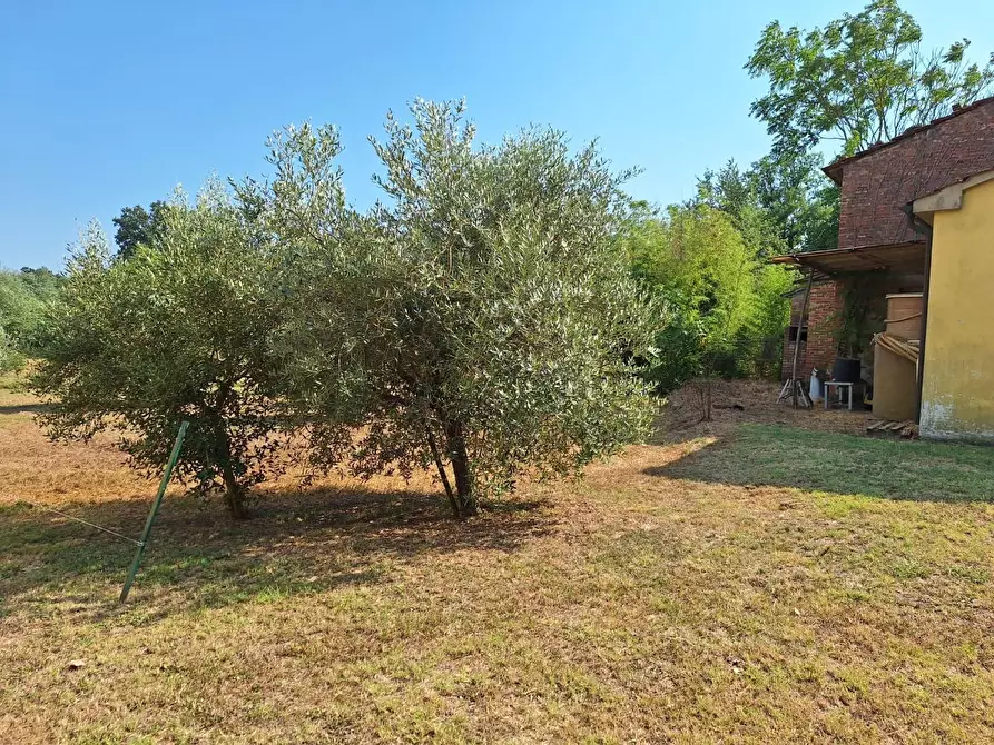 Immagine 9 di Deposito in vendita  a Castelfranco Di Sotto