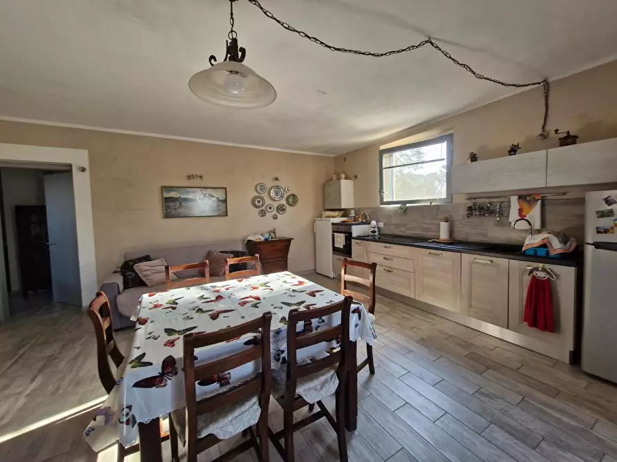 Immagine 32 di Casa indipendente in vendita  a Campiglia Marittima