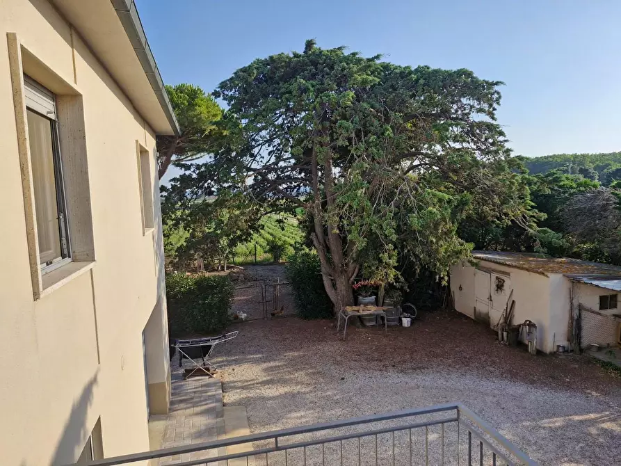 Immagine 5 di Casa indipendente in vendita  a Campiglia Marittima