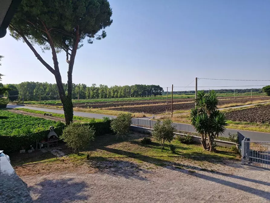 Immagine 2 di Casa indipendente in vendita  a Campiglia Marittima