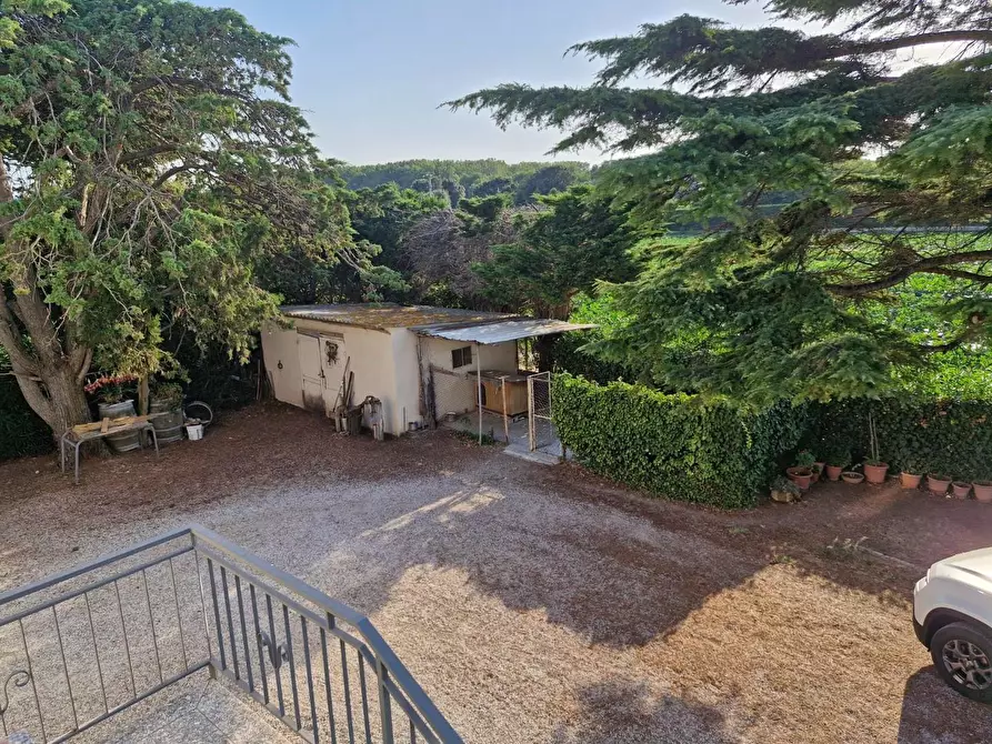 Immagine 4 di Casa indipendente in vendita  a Campiglia Marittima