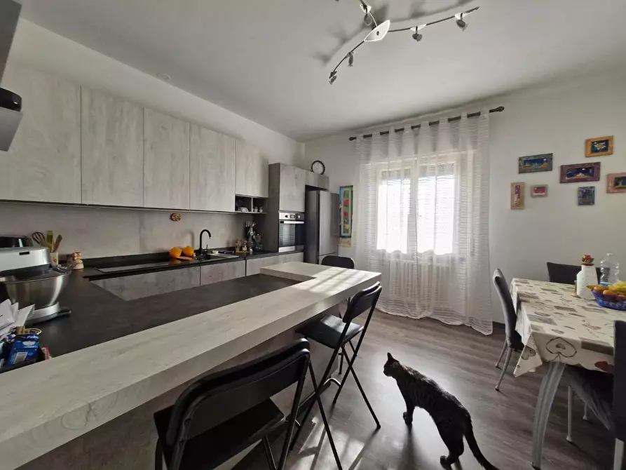 Immagine 16 di Casa indipendente in vendita  a Campiglia Marittima