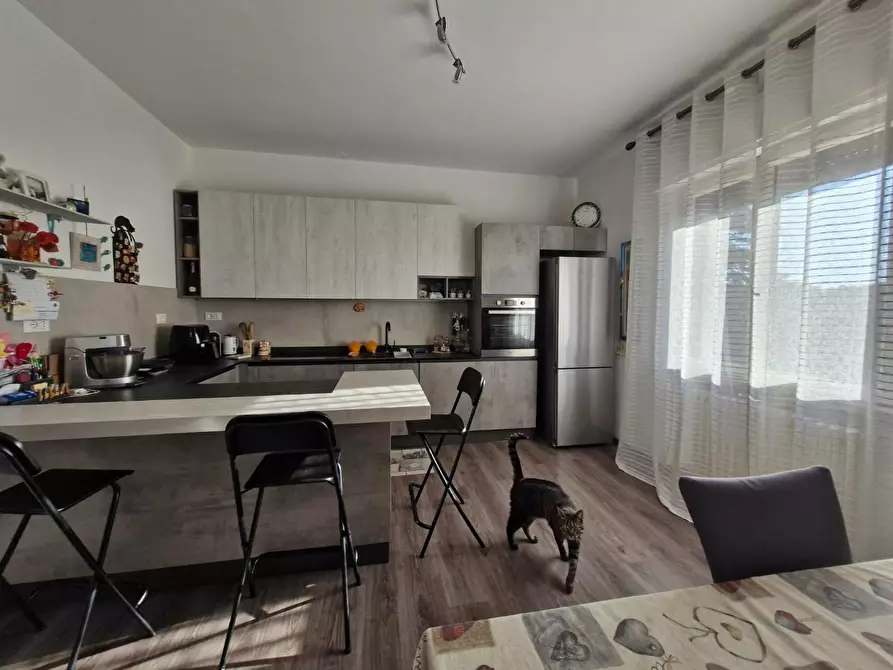 Immagine 18 di Casa indipendente in vendita  a Campiglia Marittima