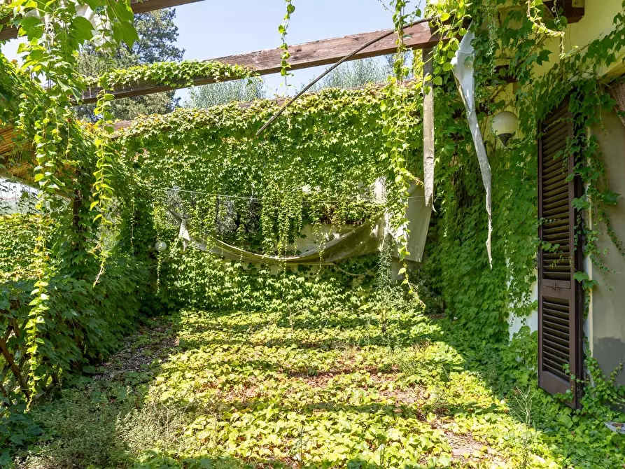 Immagine 7 di Terratetto in vendita  a Empoli