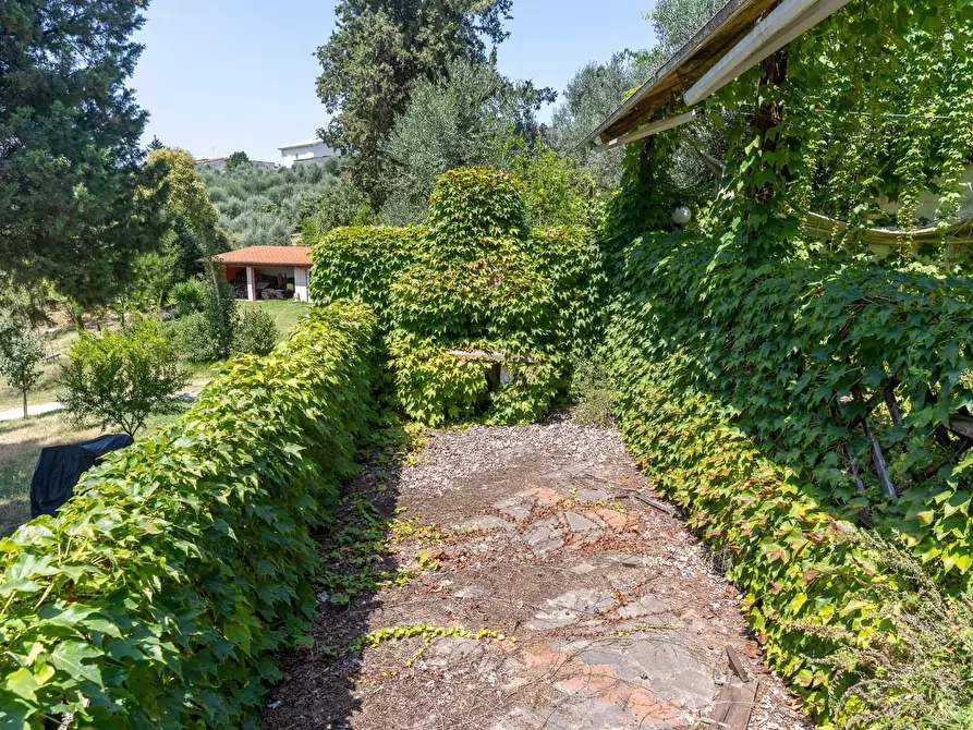 Immagine 9 di Terratetto in vendita  a Empoli