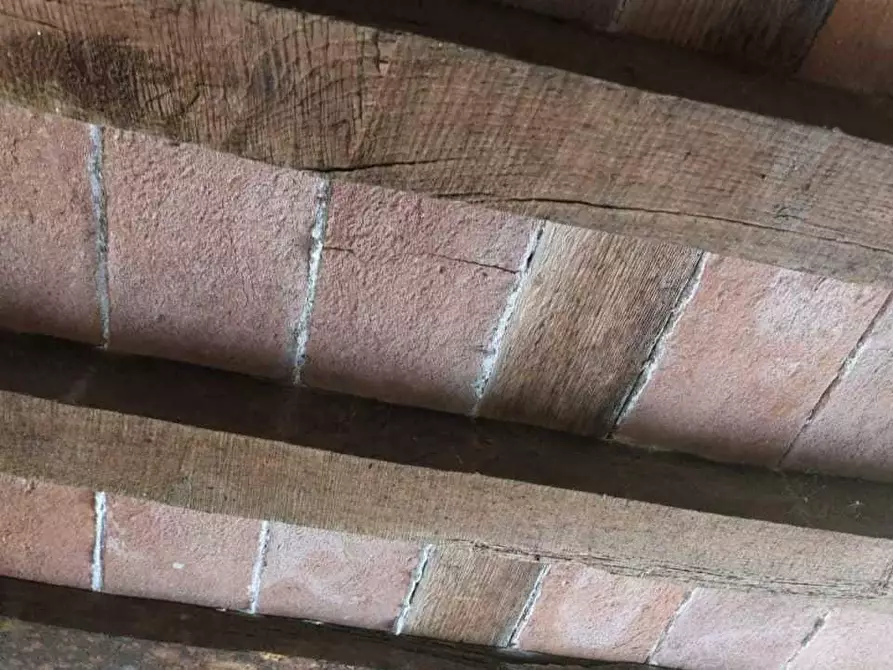 Immagine 22 di Terratetto in vendita  a Castelnuovo Magra