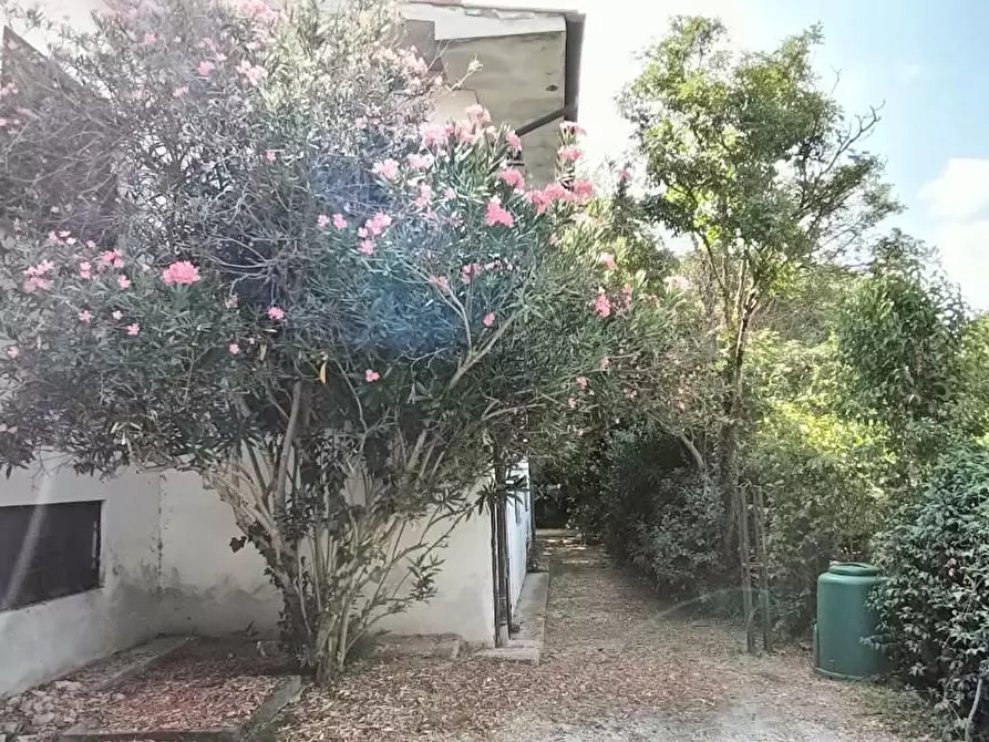 Immagine 35 di Casa bifamiliare in vendita  a San Giuliano Terme