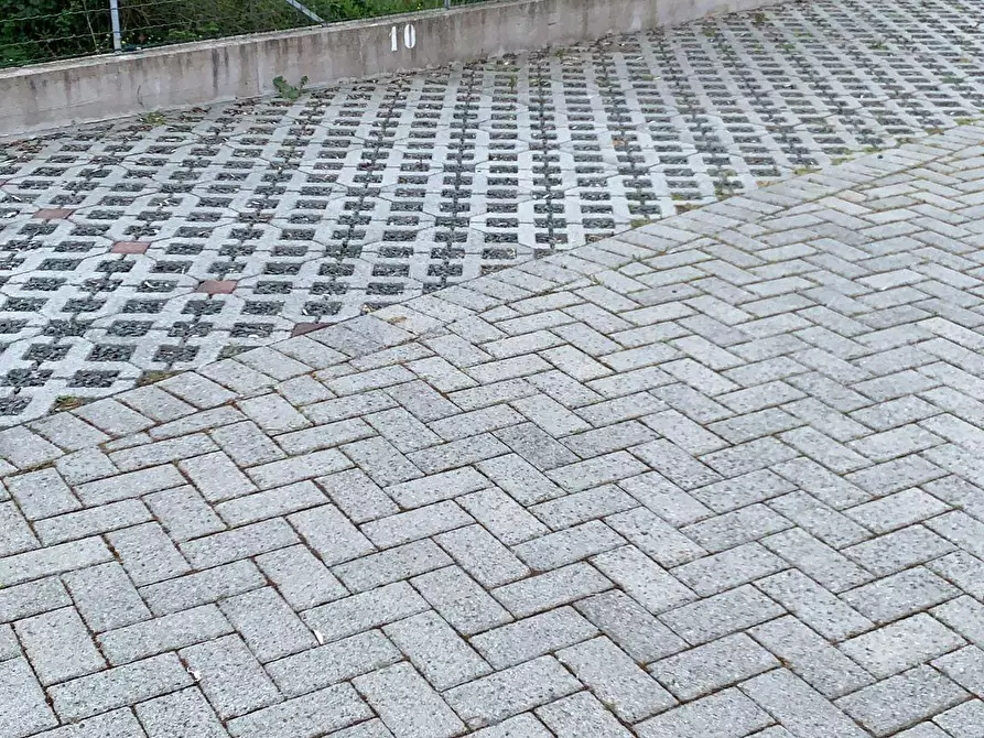 Immagine 21 di Appartamento in vendita  a Cecina