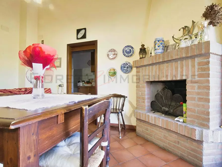 Immagine 2 di Appartamento in vendita  a Suvereto