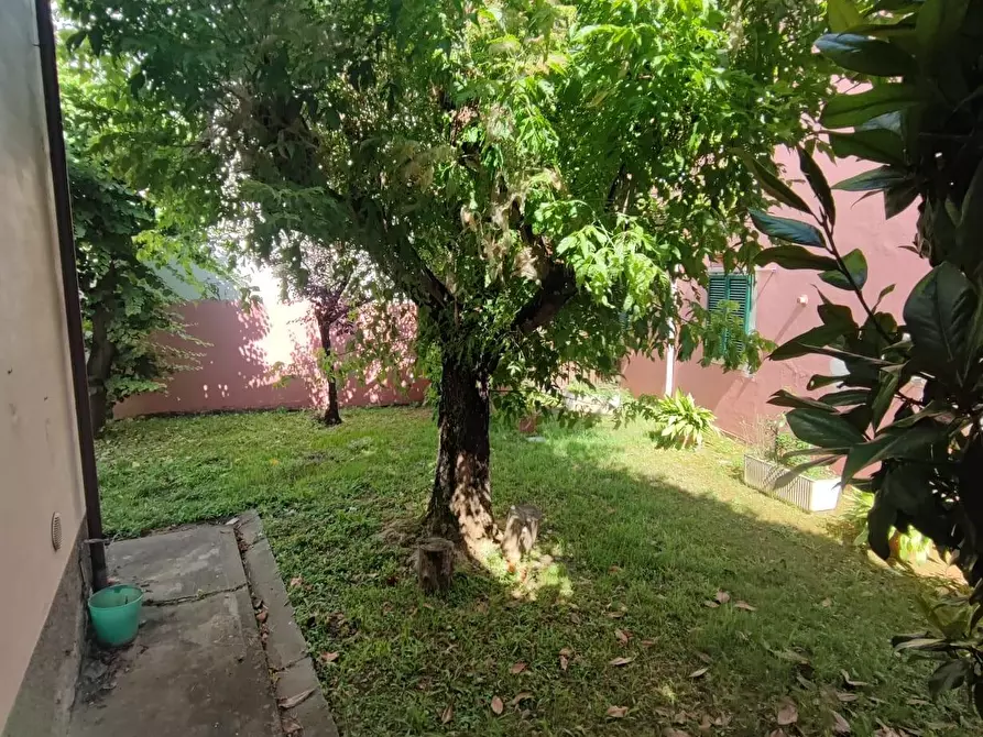 Immagine 8 di Casa indipendente in vendita  a Capannoli