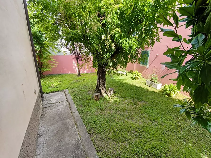 Immagine 7 di Casa indipendente in vendita  a Capannoli
