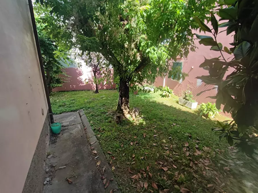 Immagine 18 di Casa indipendente in vendita  a Capannoli