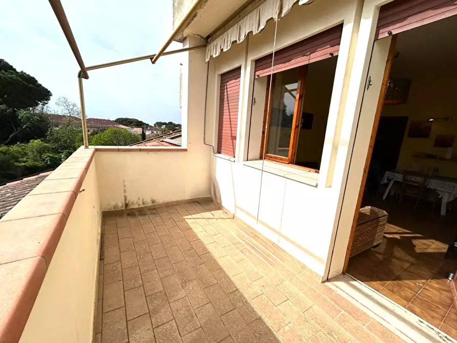 Immagine 4 di Appartamento in vendita  a Rosignano Marittimo