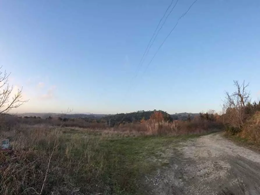 Immagine 7 di Terreno agricolo in vendita  a Palaia
