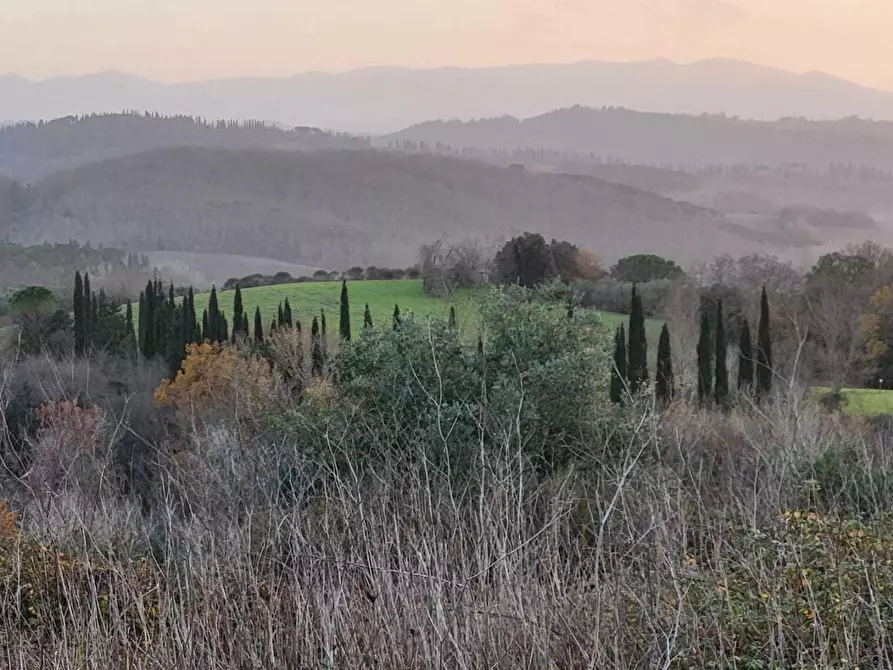 Immagine 1 di Terreno agricolo in vendita  a Palaia