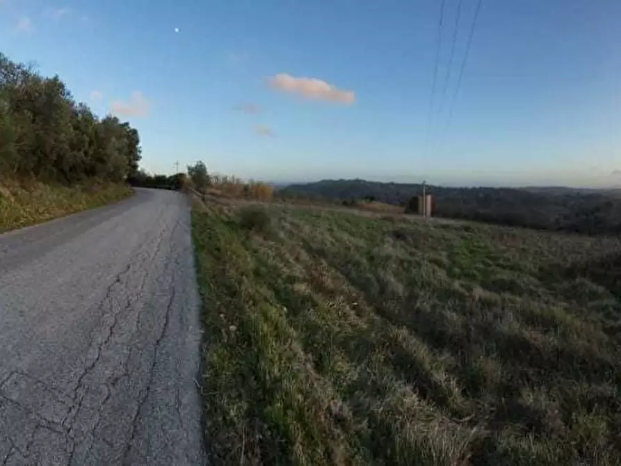 Immagine 5 di Terreno agricolo in vendita  a Palaia