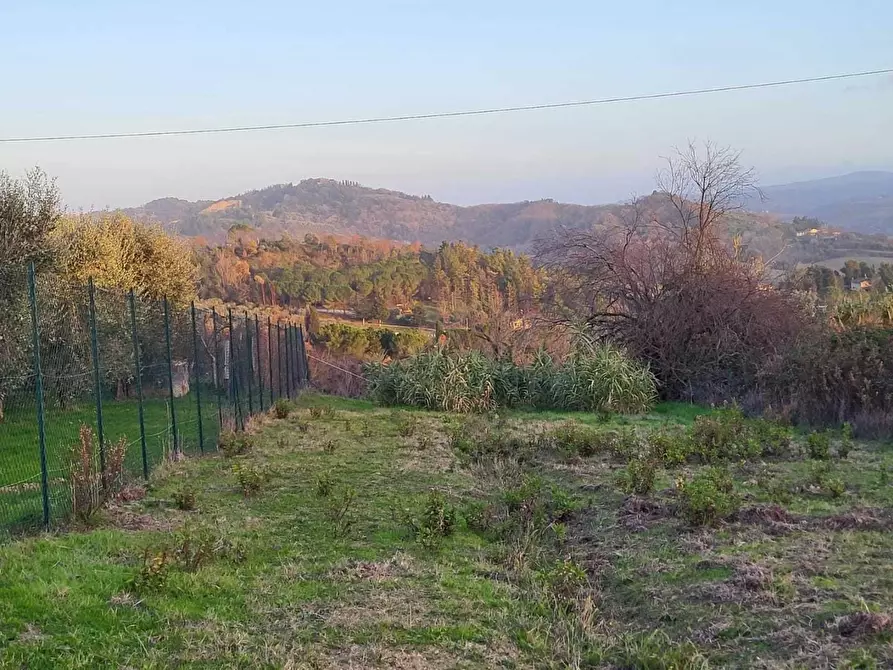 Immagine 11 di Terreno agricolo in vendita  a Palaia