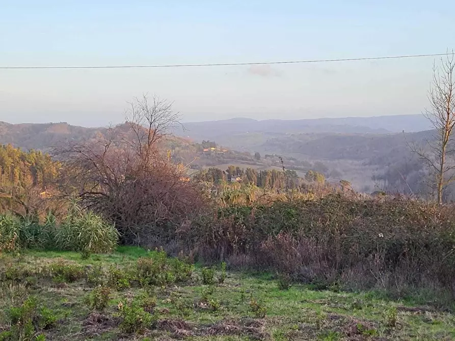 Immagine 9 di Terreno agricolo in vendita  a Palaia