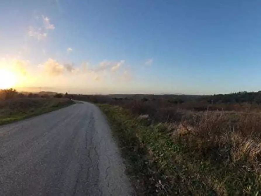 Immagine 8 di Terreno agricolo in vendita  a Palaia