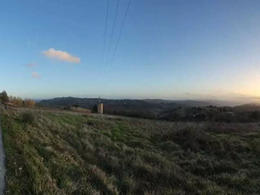 Immagine 6 di Terreno agricolo in vendita  a Palaia