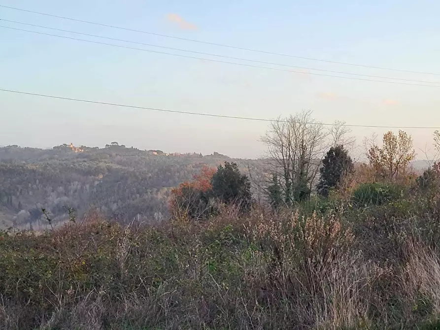 Immagine 10 di Terreno agricolo in vendita  a Palaia