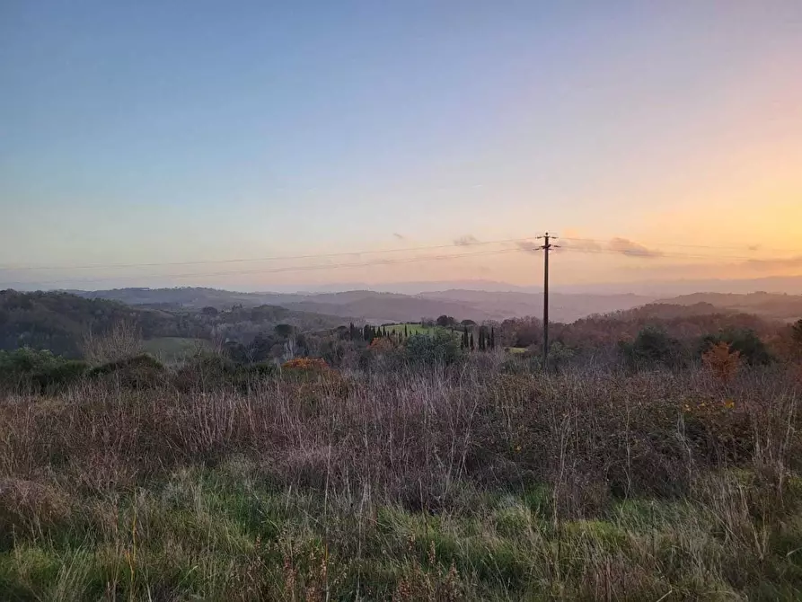 Immagine 2 di Terreno agricolo in vendita  a Palaia