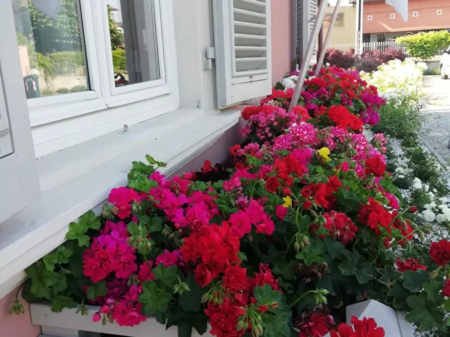 Immagine 84 di Attività commerciale in vendita  a Lucca