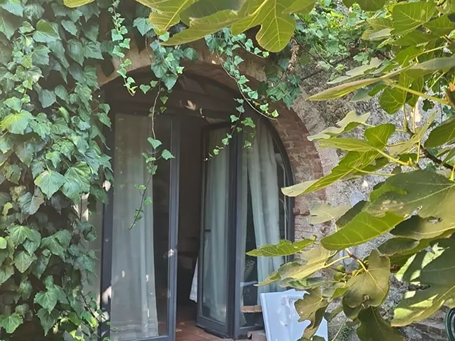 Immagine 7 di Appartamento in affitto  a Chiusdino