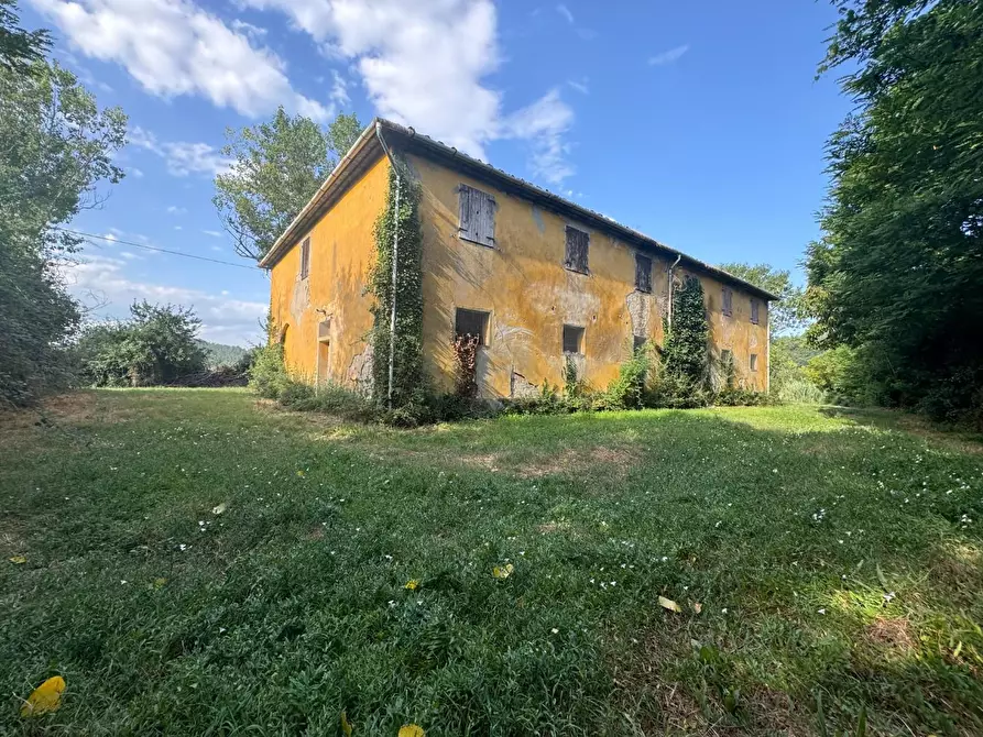 Immagine 9 di Rustico / casale in vendita  a Peccioli