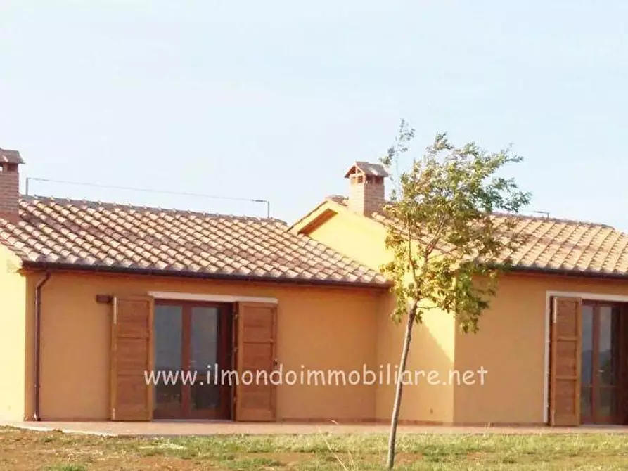 Immagine 6 di Casa indipendente in vendita  a Cecina