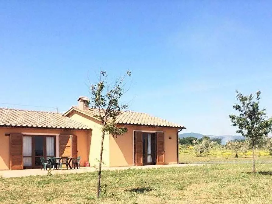 Immagine 12 di Casa indipendente in vendita  a Cecina