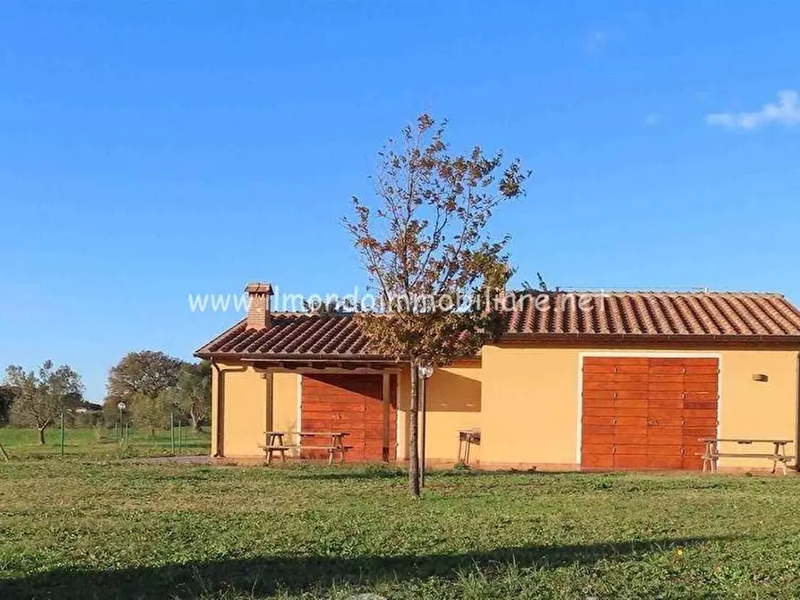 Immagine 8 di Casa indipendente in vendita  a Cecina