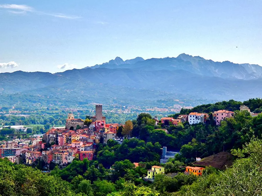 Immagine 1 di Terratetto in vendita  a Arcola