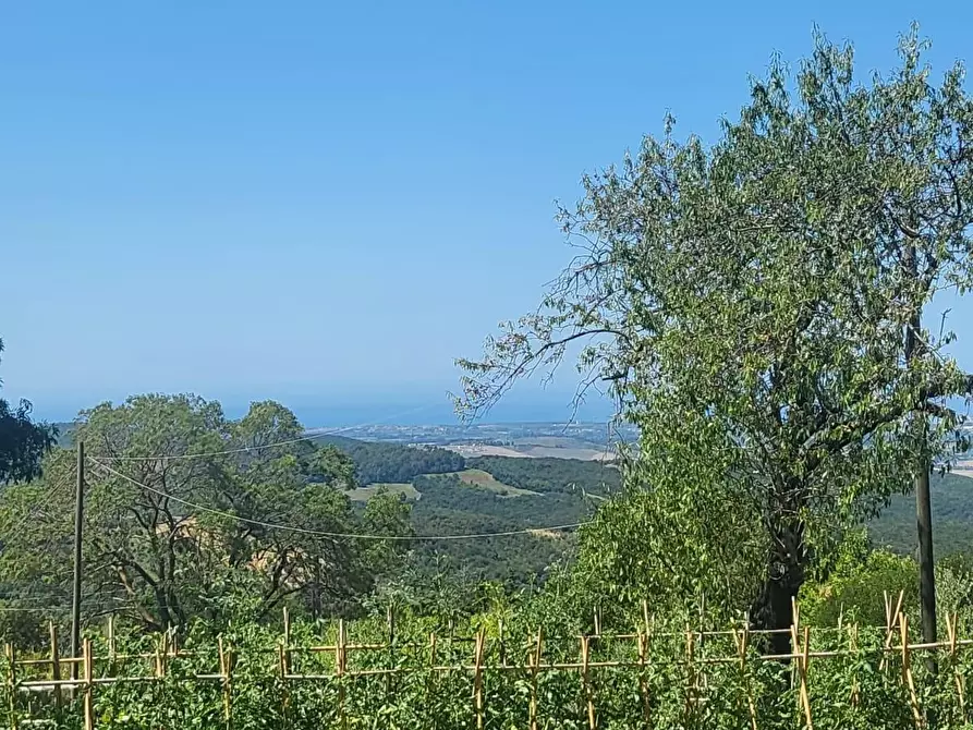 Immagine 1 di Casa colonica in vendita  a Castellina Marittima