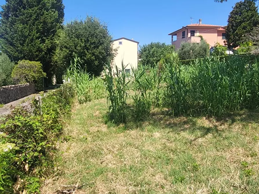 Immagine 1 di Casa colonica in vendita  a Castellina Marittima