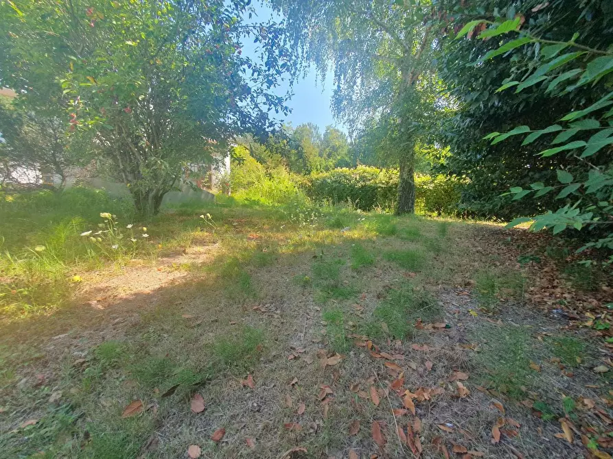 Immagine 53 di Casa bifamiliare in vendita  a Lucca