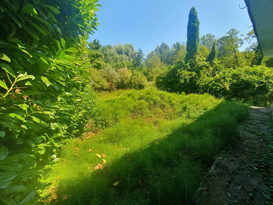 Immagine 55 di Casa bifamiliare in vendita  a Lucca