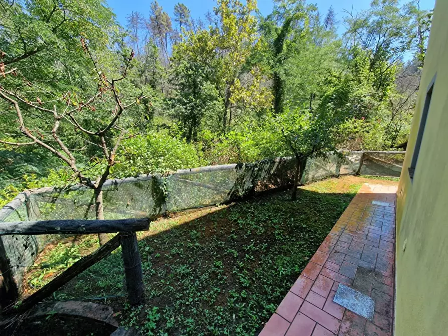 Immagine 3 di Rustico / casale in vendita  a Camaiore