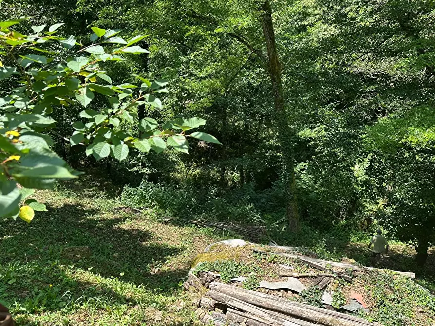 Immagine 44 di Rustico / casale in vendita  a Camaiore