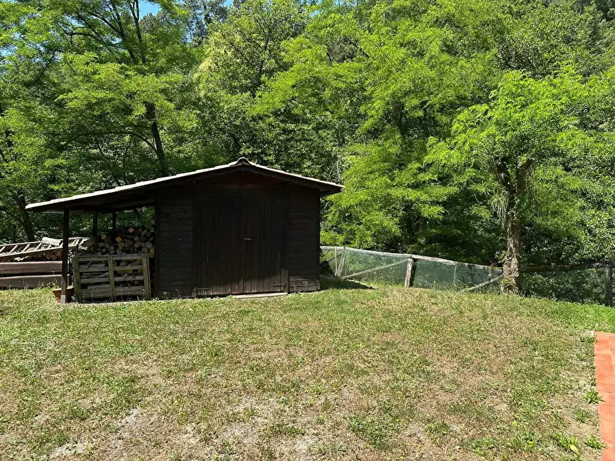 Immagine 43 di Rustico / casale in vendita  a Camaiore